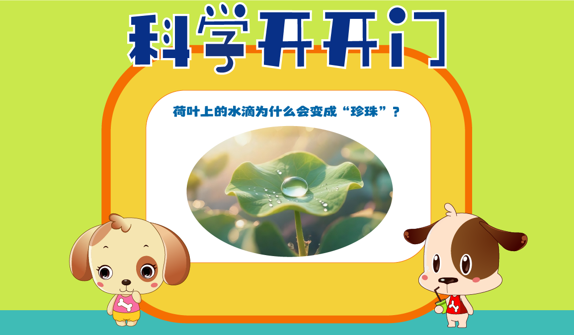 首頁幻燈1