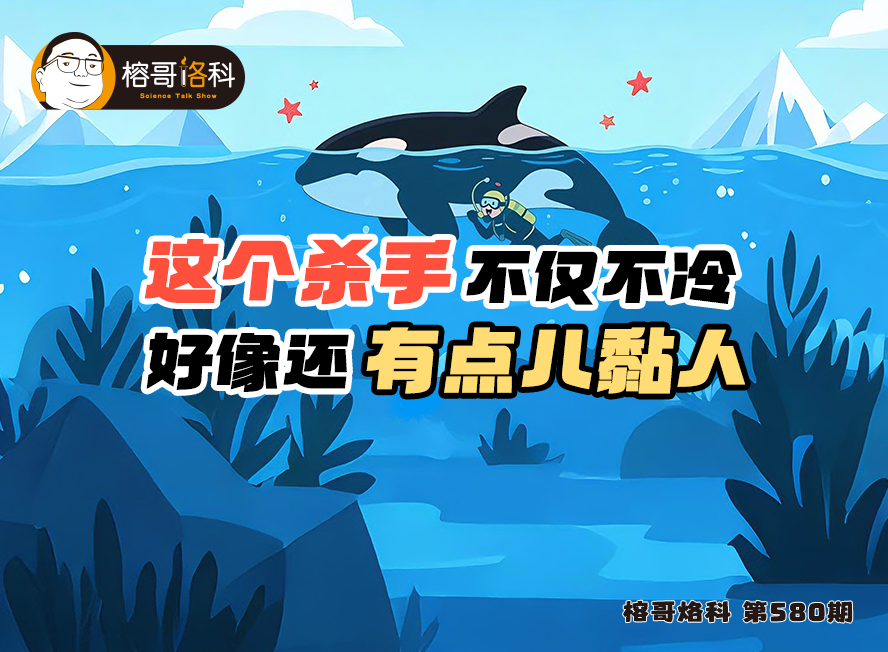 【榕哥烙科】第580期：這個殺手不僅不冷，好像還有點兒黏人