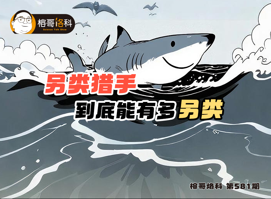 【榕哥烙科】第581期：另類獵手到底能有多另類